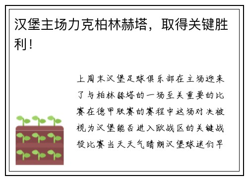 汉堡主场力克柏林赫塔，取得关键胜利！