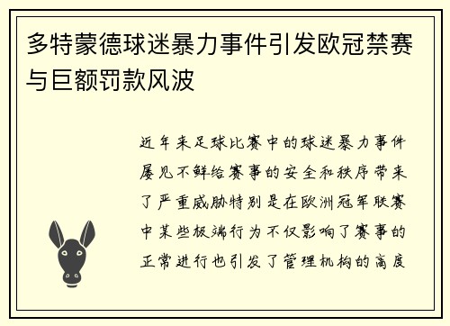 多特蒙德球迷暴力事件引发欧冠禁赛与巨额罚款风波
